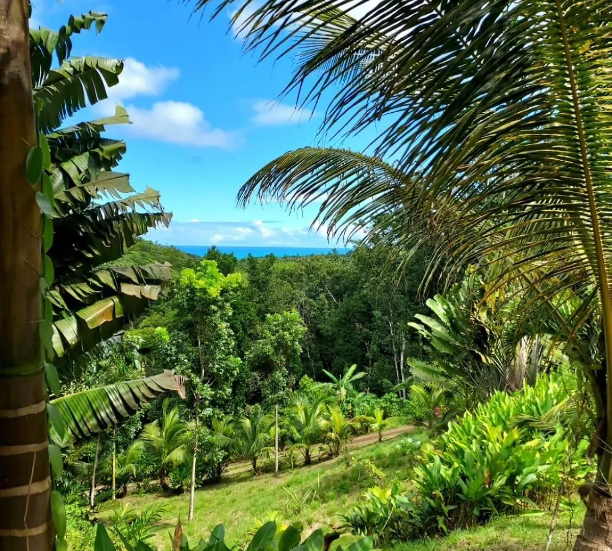 Holiday home Cottage O Coeur De Bel Hale Sainte-Rose Guadeloupe